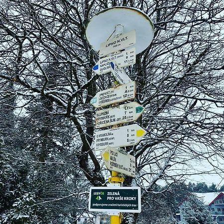 Apartman Galerie - Lipno Nad Vltavou Dış mekan fotoğraf