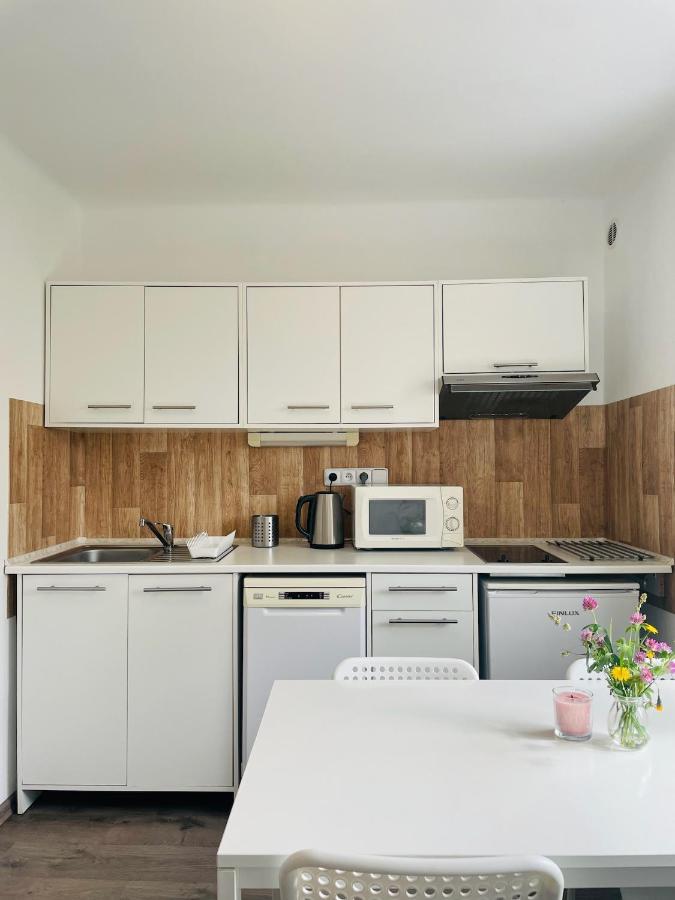 Apartman Galerie - Lipno Nad Vltavou Dış mekan fotoğraf