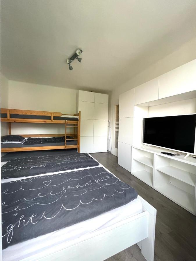 Apartman Galerie - Lipno Nad Vltavou Dış mekan fotoğraf